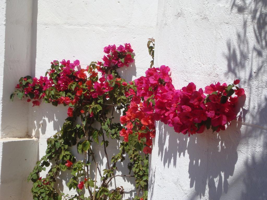 Casa de Férias Masseria Bianca Di Puglia Monopoli
